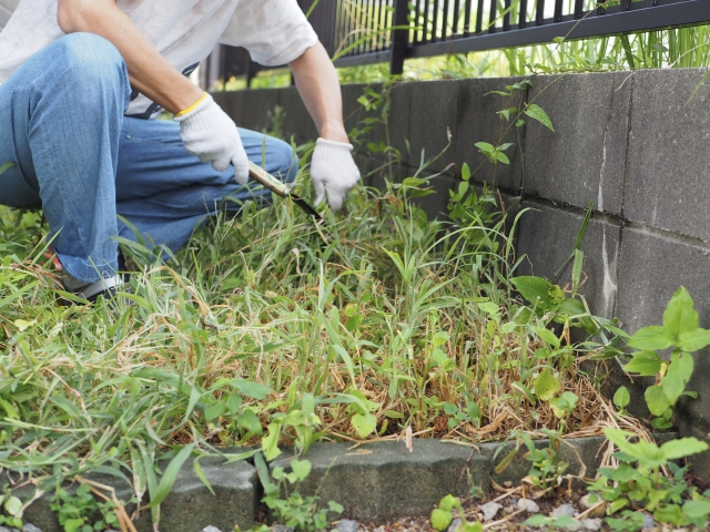 新潟市の住宅の庭で手作業による草むしりをしている様子